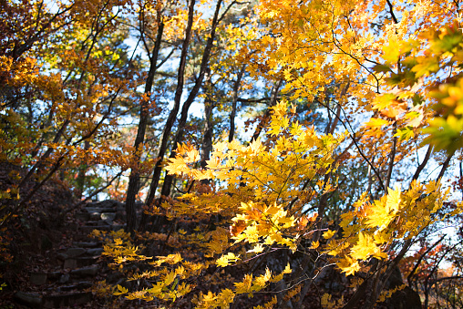 Autumn Seoul Dobongsan Korea