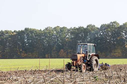 The tractor disks a field with dry sunflower stems after harvesting in October.