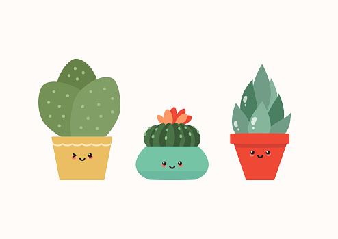 Flat illustration of three kawaii smiling succulents in flower pots. Vector 10 EPS.
