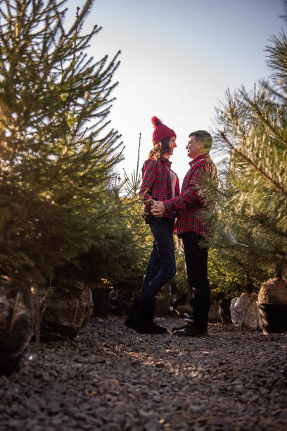 casal apaixonado em camisas vermelhas quadriculadas, chapéus de malha de mãos dadas entre o mercado verde da árvore de natal. - christmas tree standing clothing adventure - fotografias e filmes do acervo