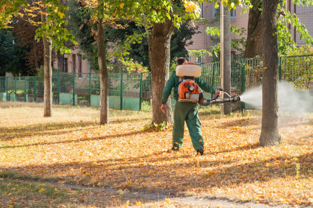 istock Worker sprays territory with insecticide for mosquitoes or pests or herbicides for weeds. 1751565155