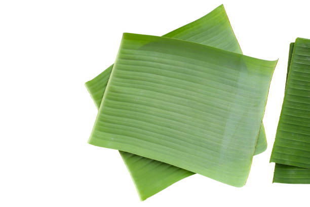 istock Banana leaves on white background. 1751600293