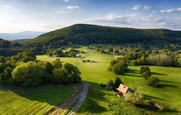 Green meadow with forest from drone with nice hill, Slovakia - Pohronsky Inovec