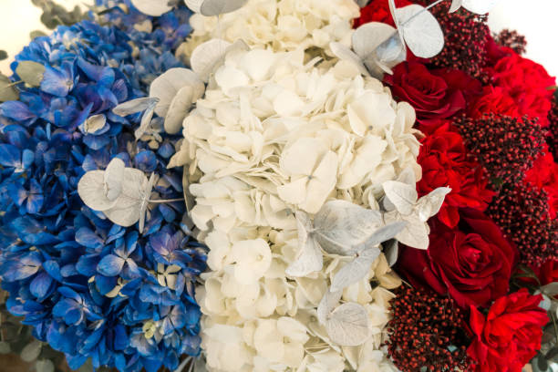 istock French flag made of flowers 1751609471