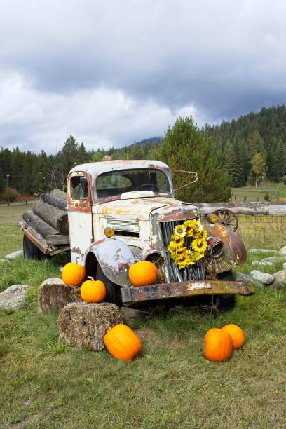 istock Old truck displayed with pumpkins. 1751614998