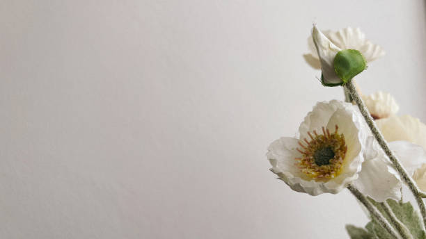 istock white Flower Fake for Background 1751645429