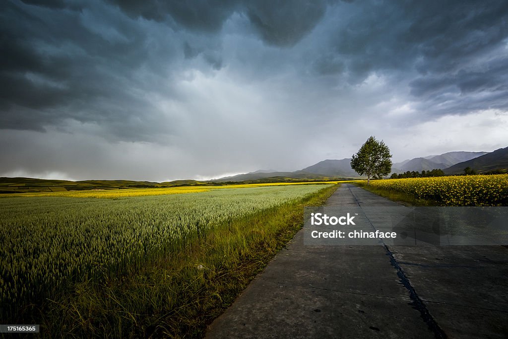 Carretera de campo - Foto de stock de Meteorología libre de derechos