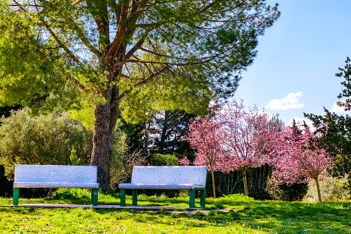 The beautiful Parco della Repubblica (Republic Park) in the fishing village of Sirolo along the Conero Riviera in the Marche region, in central Italy. Founded in ancient times by the Piceni people and with one of the largest and oldest necropolises in the Marches, the picturesque village of Sirolo is today a famous tourist attraction for the beauty of its nature and for its splendid panoramic position along the Conero Riviera, destination for thousands of tourists during the summer season. The Conero Riviera extends along the Adriatic Sea, on the eastern Italian coast, and is largely made up of the Monte Conero Regional Park, established as a protected natural area in 1987. Image in high definition quality.