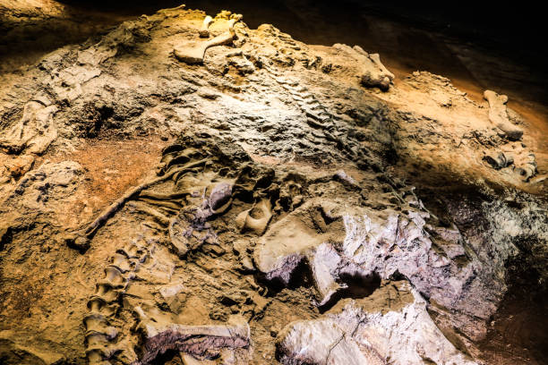 istock China Yunnan World Dinosaur Valley 1751675888