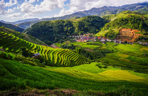 istock Terraced rice field in Northern Vietnam 1751678414