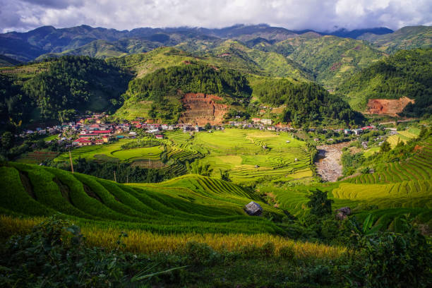 istock Terraced rice field in Northern Vietnam 1751682275