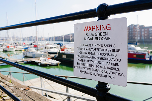 Sign at a marina warning the public about the dangers of Blue-Green algae