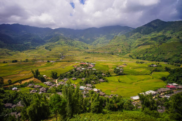 istock Terraced rice field in Northern Vietnam 1751689603