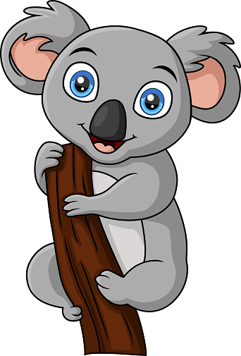 Vector illustration of Cute koala cartoon on a tree branch