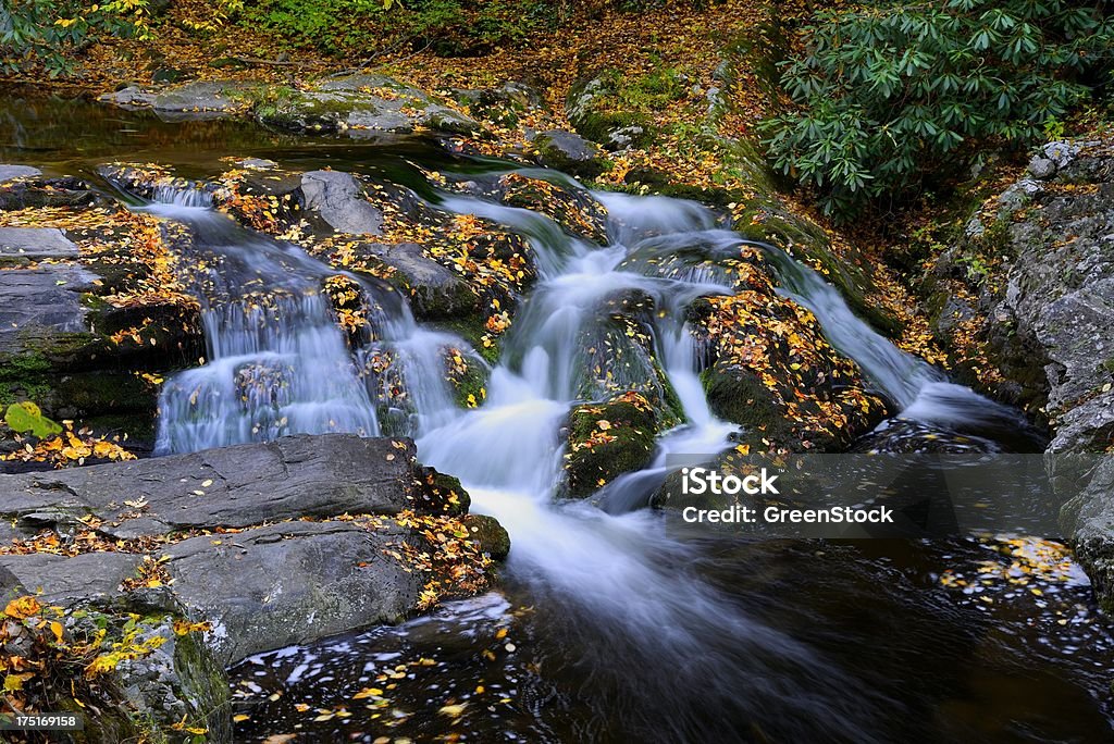 Beautiful Cascade in the Great Smoky Mountains An inspiring cascade in the Little Pigeon River flows over moss colored rocks with autumn leaves. Great Smoky Mountains National Park, Tennessee, USA. Appalachia Stock Photo