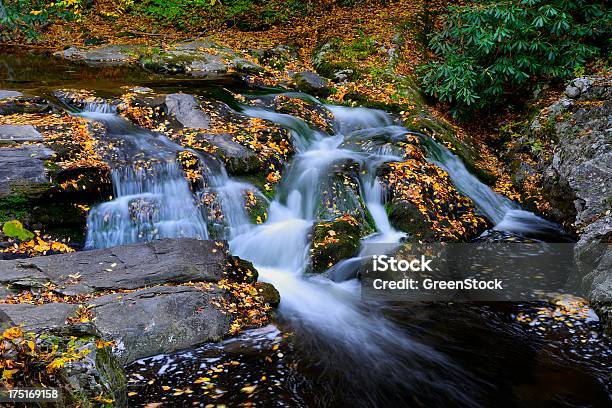 Beautiful Cascade In The Great Smoky Mountains Stock Photo - Download Image Now - Appalachia, Appalachian Mountains, Autumn