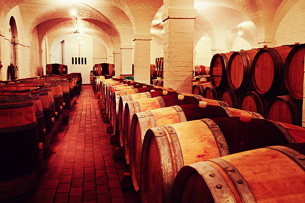 istock Looking down long rows of wine gently maturing in barrels 175170824
