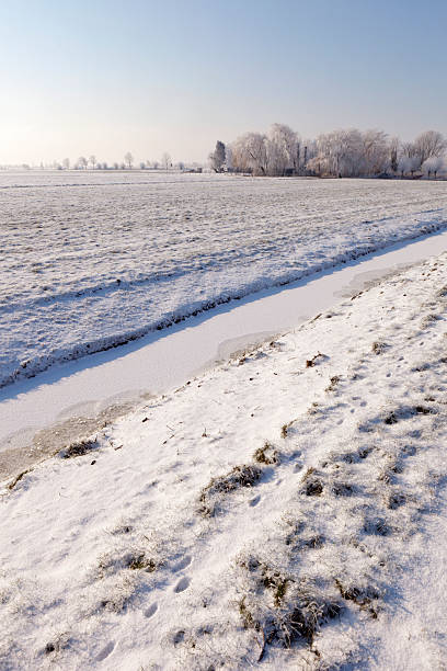 istock winter scene with frost on the trees 175170825