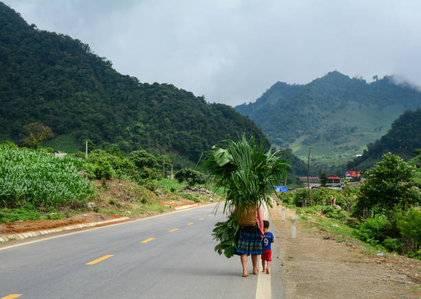 Sapa, Vietnam - May 26, 2016. Hmong people carry grass on rural road in Sapa, Vietnam. Sa Pa is a quiet mountain town and home to a great diversity of ethnic minority peoples.