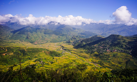 Terraced rice field in Sapa, Northern Vietnam. Terraced paddy fields are built into steep hillsides by intense physical labor.