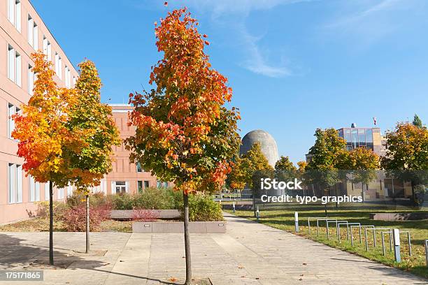 Modern Facade With Trees Stock Photo - Download Image Now - Architecture, Asphalt, Autumn