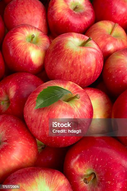 Photo libre de droit de Pommes Rouges Au Market banque d'images et plus d'images libres de droit de Feuille - Feuille, Fraîcheur, Fruit