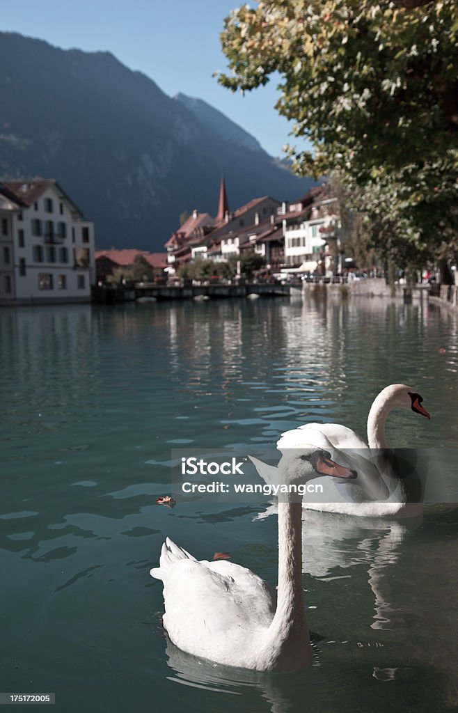 Interlaken, Suíça - Royalty-free Ao Ar Livre Foto de stock