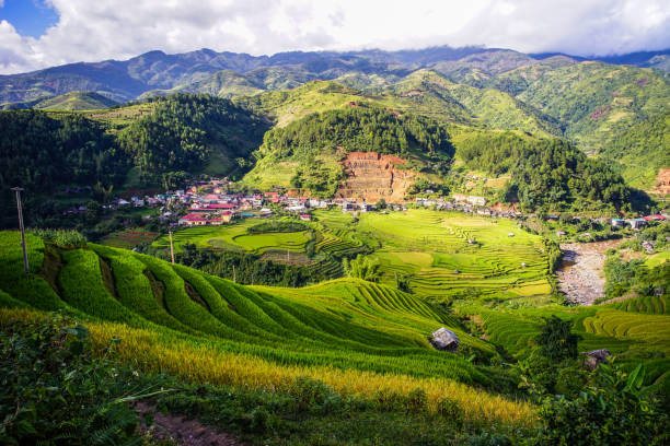 istock Terraced rice field in Northern Vietnam 1751721956