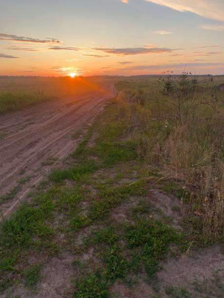 istock Country road goes in the meadow 1751725875