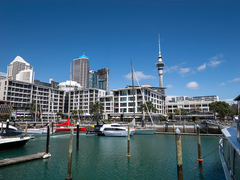 Viaduct Harbour Marina in a sunny day in Auckland, New Zealand