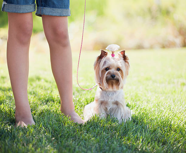 istock Girl and her Dog 175173040