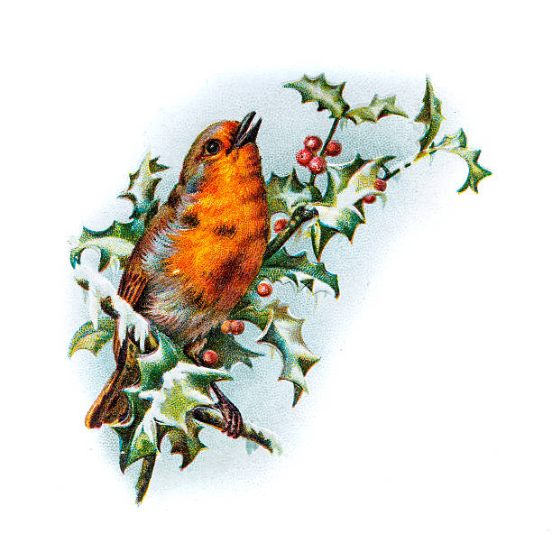 Old Chromolithographic Greetings Card with Robin and Holly