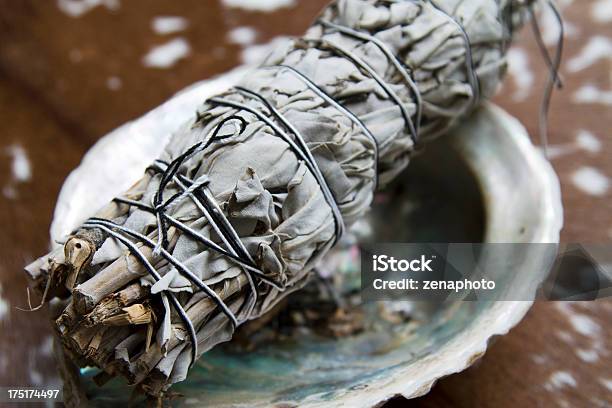 Salva Secos Em Abalone Shell - Fotografias de stock e mais imagens de Salva - Salva, Pau de incenso, Concha - Parte do corpo animal