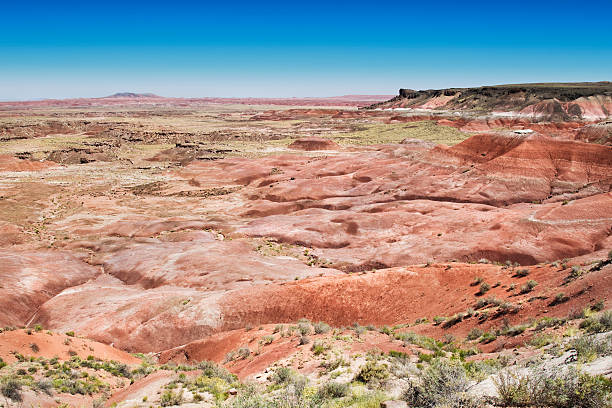 istock Painted Desert at Petrified Forest National Park 175174730
