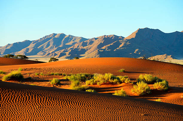 istock Untrodden dune ridges in front of mountain 175175150