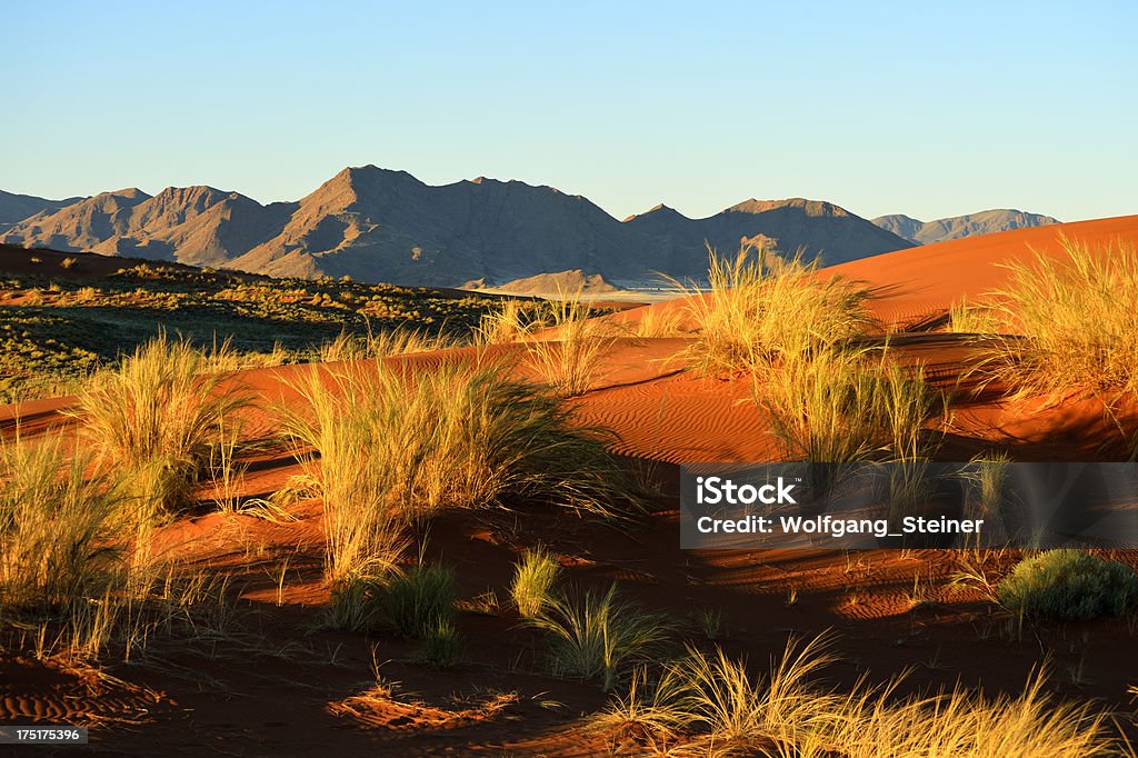 Relva verde no meio de dunas de areia - Royalty-free Ao Ar Livre Foto de stock