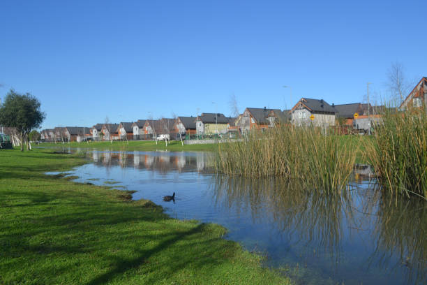 a river in a housing development in southern Chile