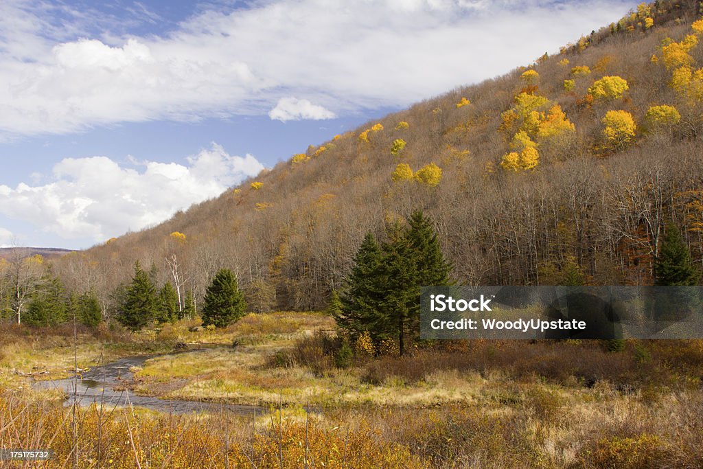 Paysage d'automne - Photo de Arbre libre de droits