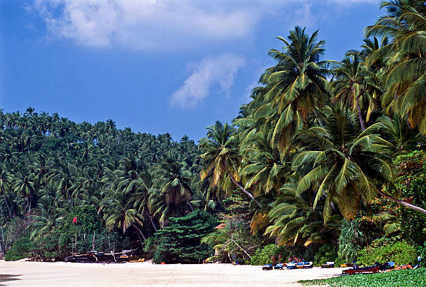In July 2018, tourists were enjoying the quiet beach of Dalawella in Sri Lanka