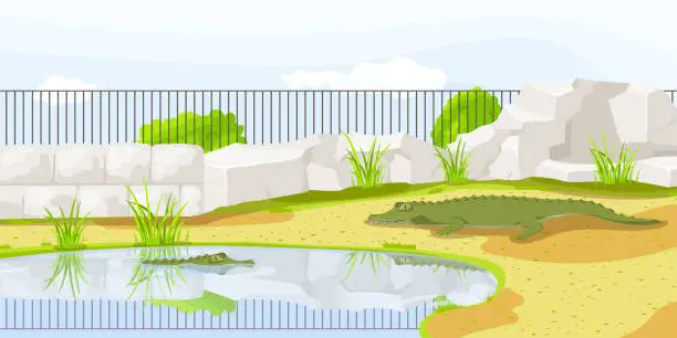 Vector illustration of African alligator lying near fence with pond in zoo enclosure. Safari vacation. Natural wildlife. Cartoon design. Cute crocodile character. Picturesque landscape. Wild savanna. Vector illustration