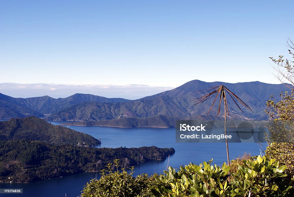Estreito de Kenepuru sons, Marlborough, Nova Zelândia - Foto de stock de Azul royalty-free
