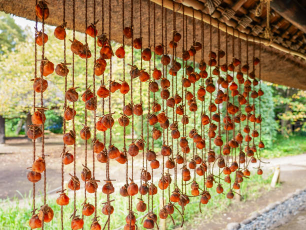 Autumn dried persimmons hanging under the eaves of a farmhouse (Koganei City, Tokyo) Dried autumn persimmons hanging under the eaves of a farmhouse on a sunny day in October 2023 in Koganei City, Tokyo 乾物 stock pictures, royalty-free photos & images