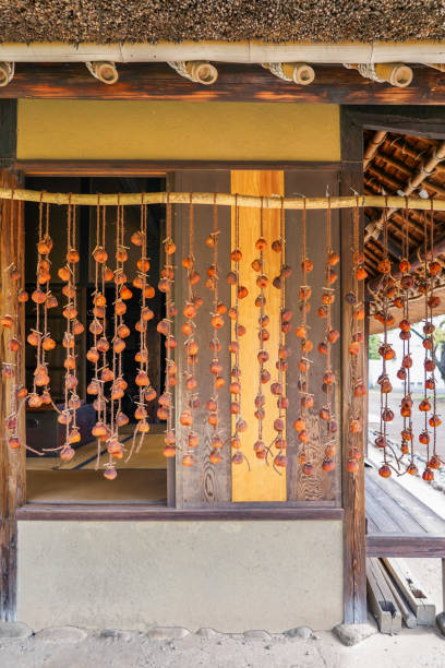 Autumn dried persimmons hanging under the eaves of a farmhouse (Koganei City, Tokyo) Dried autumn persimmons hanging under the eaves of a farmhouse on a sunny day in October 2023 in Koganei City, Tokyo 乾物 stock pictures, royalty-free photos & images