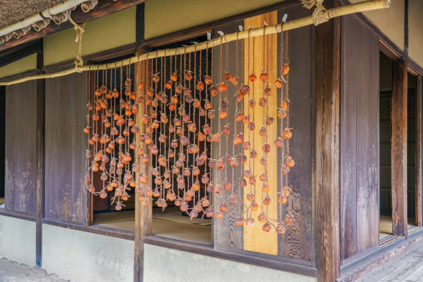 Autumn dried persimmons hanging under the eaves of a farmhouse (Koganei City, Tokyo) Dried autumn persimmons hanging under the eaves of a farmhouse on a sunny day in October 2023 in Koganei City, Tokyo 乾物 stock pictures, royalty-free photos & images