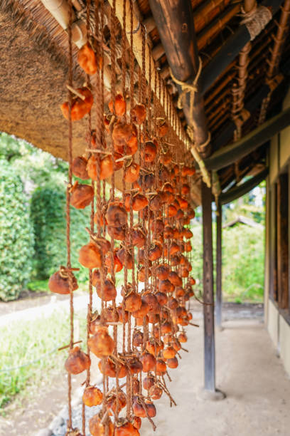 Autumn dried persimmons hanging under the eaves of a farmhouse (Koganei City, Tokyo) Dried autumn persimmons hanging under the eaves of a farmhouse on a sunny day in October 2023 in Koganei City, Tokyo 乾物 stock pictures, royalty-free photos & images