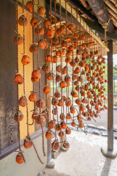 Autumn dried persimmons hanging under the eaves of a farmhouse (Koganei City, Tokyo) Dried autumn persimmons hanging under the eaves of a farmhouse on a sunny day in October 2023 in Koganei City, Tokyo 乾物 stock pictures, royalty-free photos & images