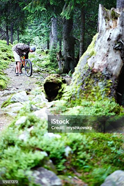 Kolarstwo Górskie W Lesie - zdjęcia stockowe i więcej obrazów Aktywny tryb życia - Aktywny tryb życia, Bicykl, Dorosły