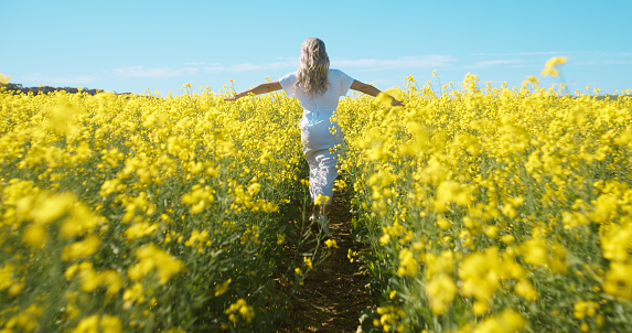 Zen, freedom and woman in field of flowers with blue sky, countryside and spring wellness from back. Nature, breathing and girl walking in floral grass with peace, fresh air and happiness with plants
