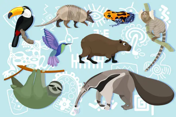 Vector illustration of Set of animals of South America. Kid education. Collection of armadillo, anteater, toucan, capybara, frog, sloth, hummingbird. Wild creatures of tropical jungle. Grey background. Vector illustration