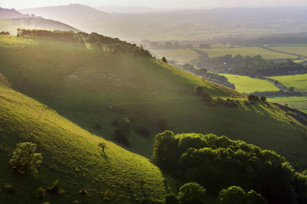 Beautiful view of sunny hills in South Downs